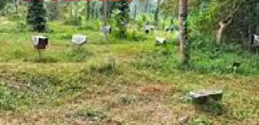 26 cents land for sale near Ullal