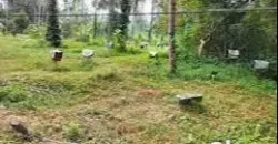 26 cents land for sale near Ullal