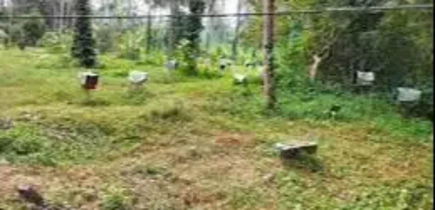 26 cents land for sale near Ullal