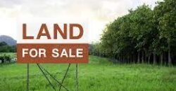 Land for sale near Maroli