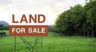 Land for sale near Maroli