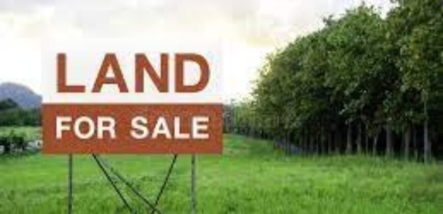 Land for sale near Maroli